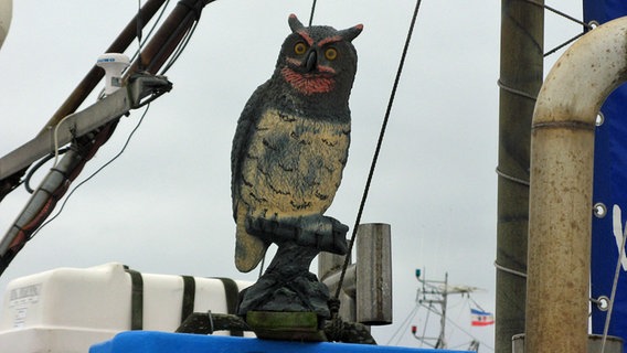 Eine Holzeule auf einem Fischerboot © NDR Foto: Christine Arendt aus Kloster auf Hiddensee