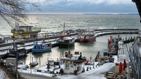Mehrere Schiffe liegen im Sassnitzer Fischereihafen vor Anker © NDR Foto: Max Bachmann aus Sassnitz