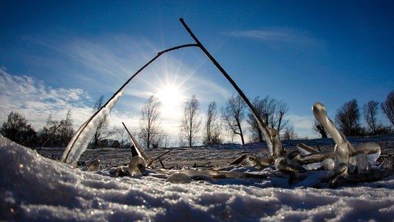 Die Sonne scheint durch kleine Eiszapfen hindurch © NDR Foto: Andy Bünning aus Torgelow
