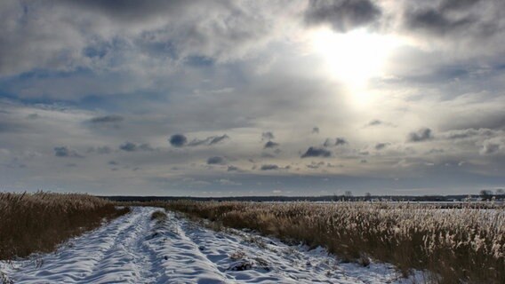 Schnee auf dem Deich am Saaler Bodden © NDR Foto: Dieter Kittel aus Saal