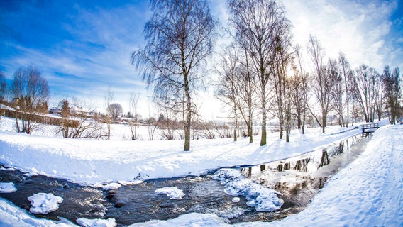 Ein Bach in einer Schneelandschaft und vollem Sonnenschein © NDR Foto: Andy Bünning aus Torgelow