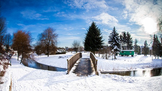 Eine kleine Holzbrücke führt über einen Bach in einer Schneelandschaft © NDR Foto: Andy Bünning aus Torgelow