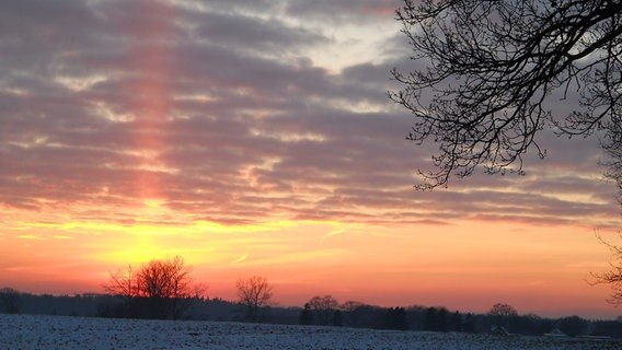 Ein Sonnenuntergang mit Schäfchenwolken © NDR Foto: Helga Pfeiffer aus Dettmannsdorf