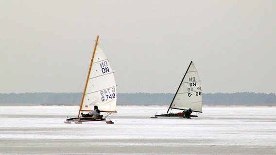 Zwei Eissegler jagen über den Bodstedter Bodden © NDR Foto: Erhard Jasper aus Fuhlendorf