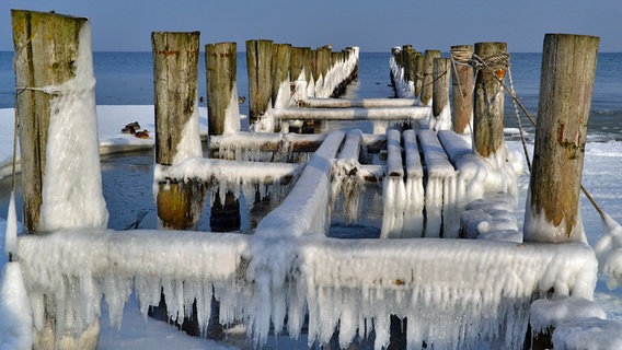 Buhnen und Stegen verschwinden fast unter einer dicken Eisschicht © NDR Foto: Werner Bayer aus Neubrandenburg