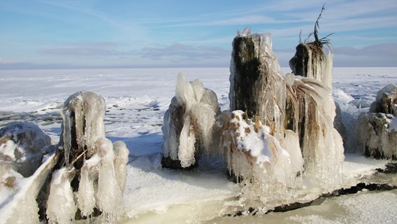 Vereiste Buhnen am Grambiner Deich © NDR Foto: Jana Ritzrow aus Grambin