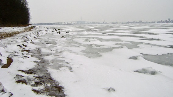 Die Eisschicht auf dem Strelasund ist noch nicht geschlossen. © NDR Foto: Dorit Gielow aus Stralsund