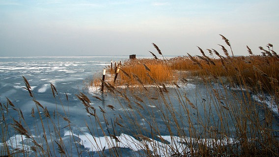 Blick auf den zugefrorenen Bodden vom Dabitzer Hafen. © NDR Foto: Bodo Frieden aus Barth