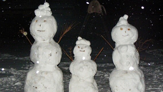 Eine Schneefamilie steht in einem Garten. © NDR Foto: Liane Felmet aus Marschacht