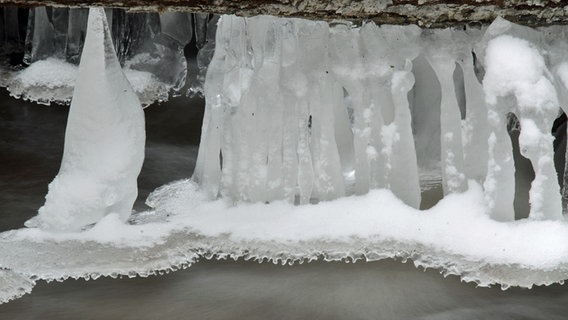 Am Steinbach bei Sassnitz bilden sich Eiszapfen. © NDR Foto: Jörg Richter aus Sassnitz