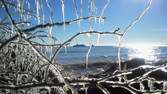 tauende Eiszapfen © NDR Foto: Peter Freitag aus Sassnitz