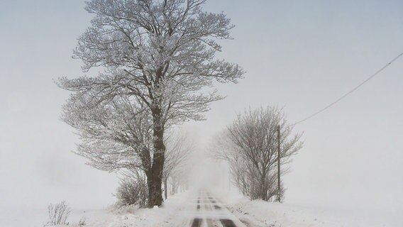 winterliche Straße © NDR Foto:  Wolfgang Schielke aus Groß Karrendorf