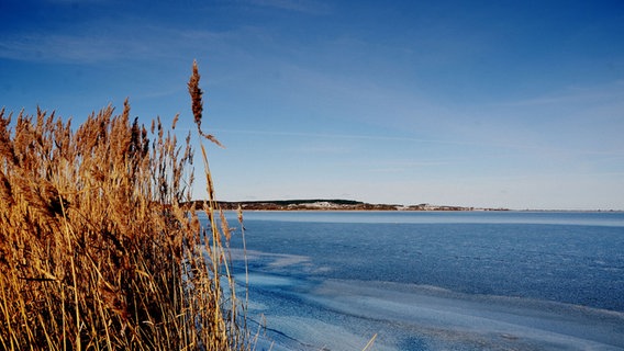 Der Schnee und das Eis sind getaut auf Hiddensee © NDR Foto: Robert Ott aus Vitte