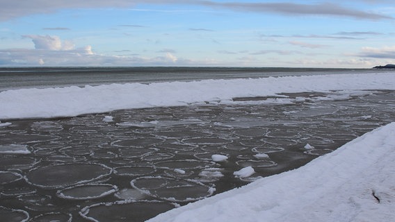 Der Schnee und das Eis sind getaut auf Hiddensee © NDR Foto:  Karsten Schütze aus Neu Dargun