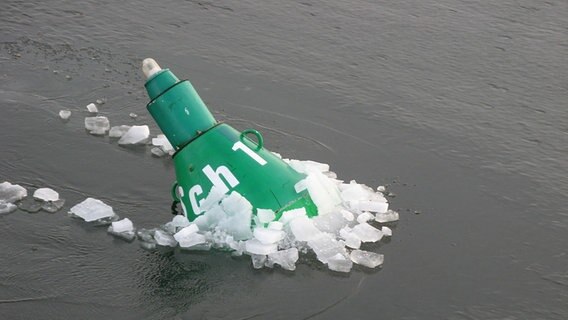 grüne Boje liegt im Wasser mit Eis © NDR Foto: Christine Arendt aus Kloster