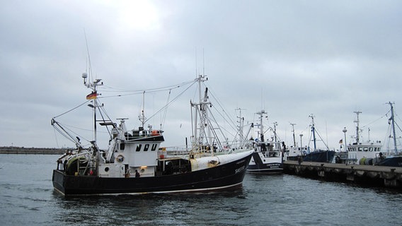 Sassnitzer Kutter macht im Hafen fest © NDR Foto: Max Bachmann aus Sassnitz