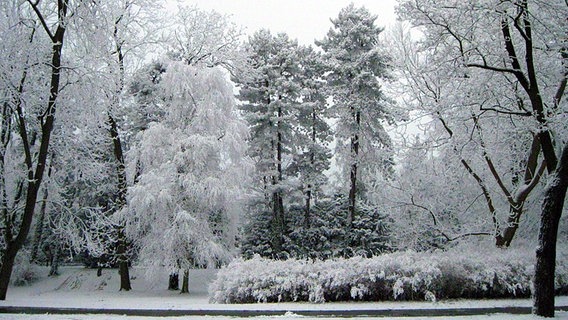 Ein verschneiter Stadtpark © NDR Foto: Paul-Friedrich Sager aus Rostock