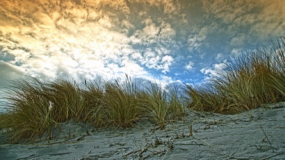 Strandlandschaft in Prora © NDR Foto: Thomas Starkloff aus Sassnitz