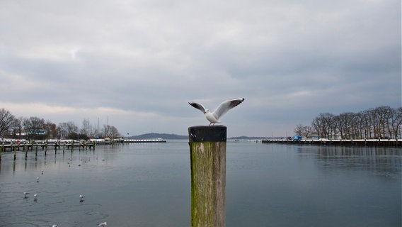 Hafen von Lauterbach-Goor auf Rügen im Winter © NDR Foto: Tan Nguyen Manh aus Rostock