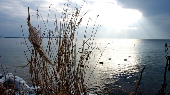 Die Sonne scheint am Horizont © NDR Foto: Tan Nguyen Manh aus Rostock