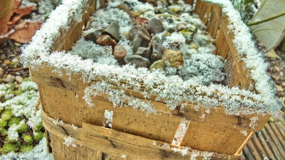 Ein Flechtkorb ist mit Eiskristallen überzogen © NDR Foto: Rolf Richter aus Zinnowitz