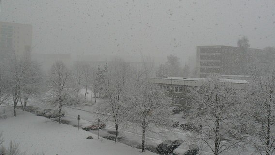 Schneeflockenregen in Greifswald © NDR Foto:  Volkmar Luck aus Greifswald