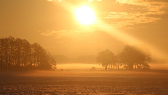 Sonnenaufgang bei Klein Zastrow © NDR Foto:  Michaela Festerling aus Klein Zastrow