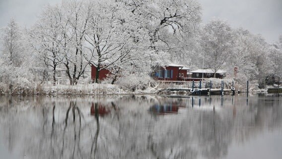 Winderlandschaft am Greifswalder Ryck © NDR Foto: Heidemarie Köhn aus Greifswald