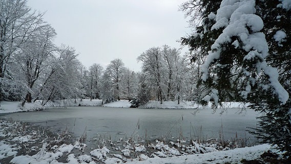 Ein Wintertag am See in Griebenow © NDR Foto: Dr. Wolfgang Schimke aus Wackerow