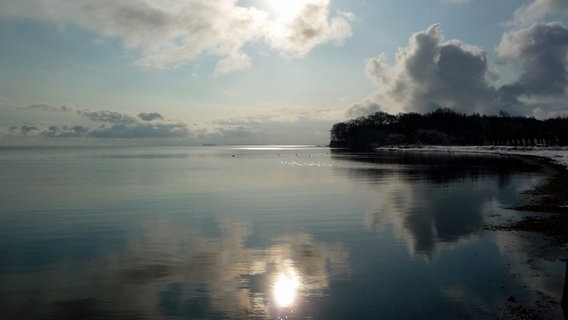 Der Bodden bei Neuendorf im Abendlicht © NDR Foto: Carsten Schössow aus Putbus