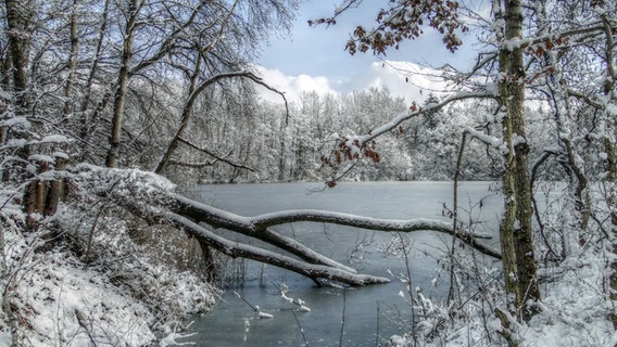 Winterlandschaft bei Garz auf Rügen © NDR Foto: Egon Nehls aus Samtens