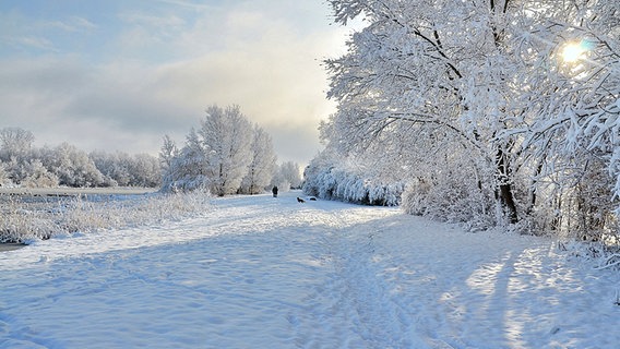 winterlicher Teich © NDR Foto: Günter Kamp aus Greifswald