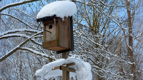 Nistkasten mit Schneehaube © NDR Foto: Silke Gundermann aus Barth