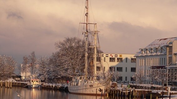 Segelschiff "Greif" liegt am Anleger im Hafen © NDR Foto: Steven Holz aus Greifswald