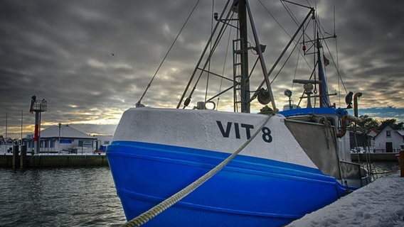 weiß-blauer Kutter liegt im Hafen; Himmel ist mit dunklen Wolken bedeckt © NDR Foto: Robert Ott von der Insel Hiddensee