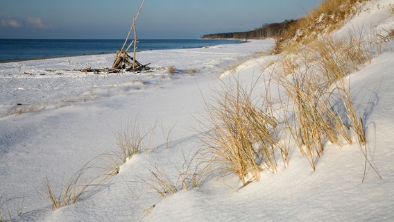 Dünengras im Schnee mit Ostsee im Hintergrund © NDR Foto: Karl-Heinz Voß aus Wustrow