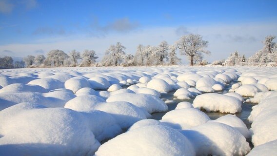 Viele Schneehügel sind auf einer Wiese zu sehen. © NDR Foto: Henryk Kaatz aus Ludwigsburg