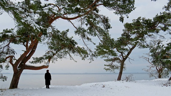 Ein Mann im Mantel steht im Drachenwald am Greifswalder Bodden. © NDR Foto: Edgar Ackermann aus Brandshagen