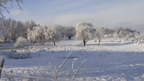 Schneelandschaft am Dorfteich von Oldenhagen © NDR Foto: Gabi Donner aus Oldenhagen