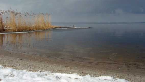 Blick auf das Stettiner Haff im Winter © NDR Foto: Kathrin Fischer aus Mettingen