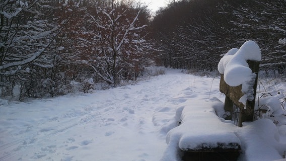 Eine Bank ist mit Schnee bedeckt. © NDR Foto: Peter Freitag aus Sassnitz