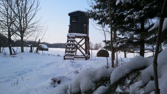 Hochstand im Winterwald. © NDR Foto: Peter Freitag aus Sassnitz