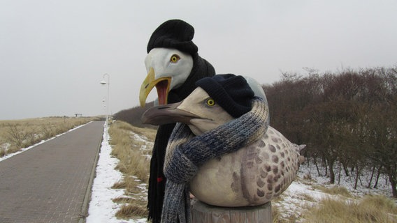 Zwei Tonmöwen sitzen an der Strandpromenade in Graal-Müritz mit Schal und Hut © NDR Foto: Dagmar Henssler aus Graal-Müritz