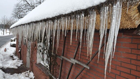 Eiszapfen hängen von einem Reetdach herunter. © NDR Foto: Max Bachmann aus Sassnitz
