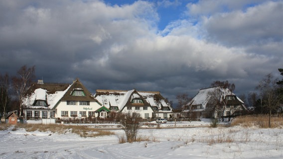 Reet gedeckte Häuser stehen in einer Schneelandschaft. © NDR Foto: Vera Simons-Schuchardt aus Rostock