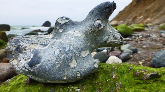 Ein seltsam geformter Stein am Strand von Hiddensee © NDR Foto: Gerald Schneider aus Kloster