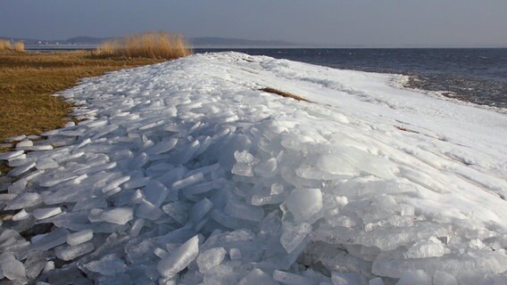 Eisschollen türmen sich an einem Ufer. © NDR Foto: Stephanie Turzer aus Loddin