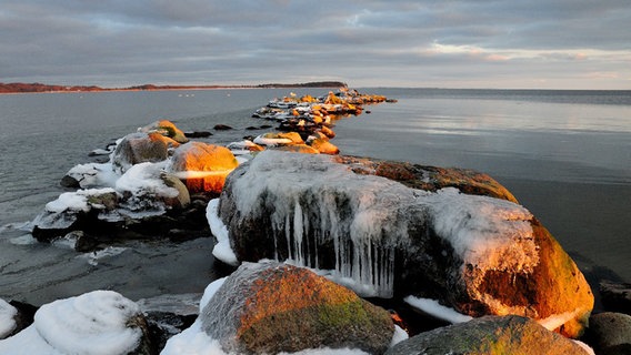 Eisbedeckte Steine zwischen Lauterbach und Vilm © NDR Foto: Marek Witte aus Rostock