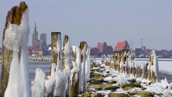 Vereiste Pfähle und Steine vor Stralsund © NDR Foto: Dirk Auerbach aus Stralsund