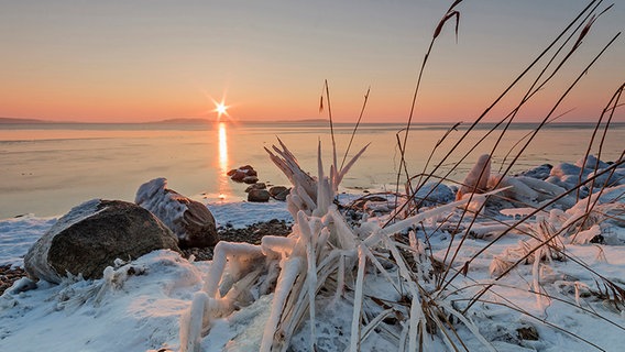 Sonnenaufgang am Greifswalder Bodden über der Insel Vilm © NDR Foto: Christoph Gebler aus Putbus